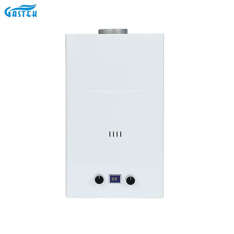 Tip flue 6L 8L 10L 12L 16L 18L 20L Tankless Instant Gaz Gaz pentru duș