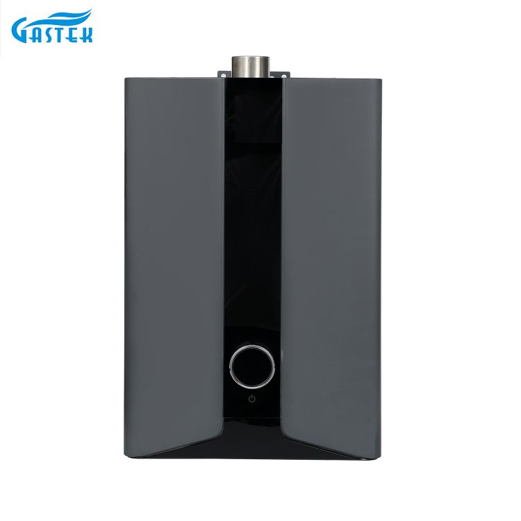 Electricitate 220V 110V Panou LCD Tip forțat Temperatură constantă încălzitor de apă pe gaz pentru baie