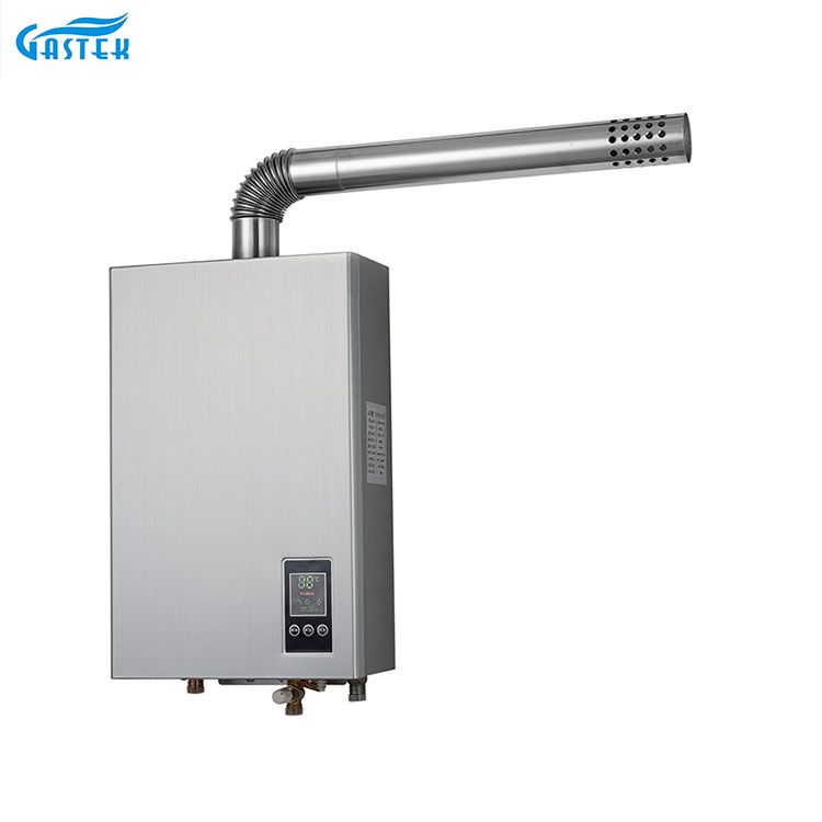 Electricitate 220V 110V Temperatură constantă Tip forțat Dimensiune compactă Încălzitor de apă caldă pe gaz