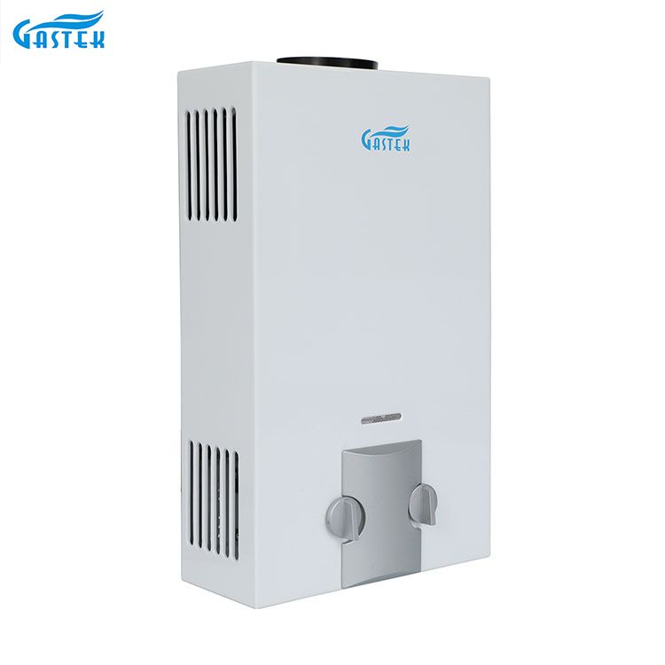 Fabrică de aparate de uz casnic OEM ODM Tip de fum montat pe perete 6L 10L 12L 16L 20L GPL fără rezervor Gheizer instantaneu cu gaz pentru duș